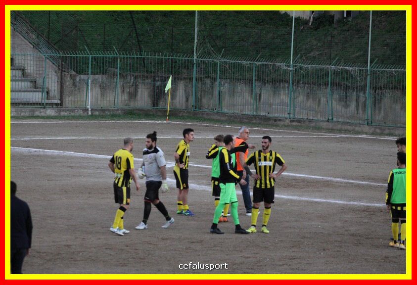 181111 Cepha_Milazzo 331_tn.JPG